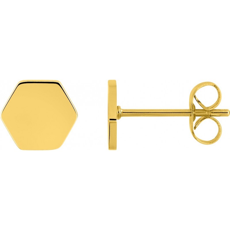 Boucles d'oreilles acier doré